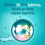LISTERINE burnos skalavimo skystis COOL MINT, 1000 ml - produkto nuotrauka